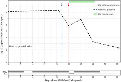 Case Report: Hyperinflammatory Status in an Immunocompromised Child With a Highly Sustained Viral Load of SARS-CoV-2